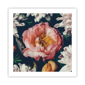 Poster - Mit barocker Pracht - 50x50 cm