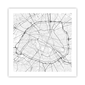 Poster - Pariser Blume - 50x50 cm