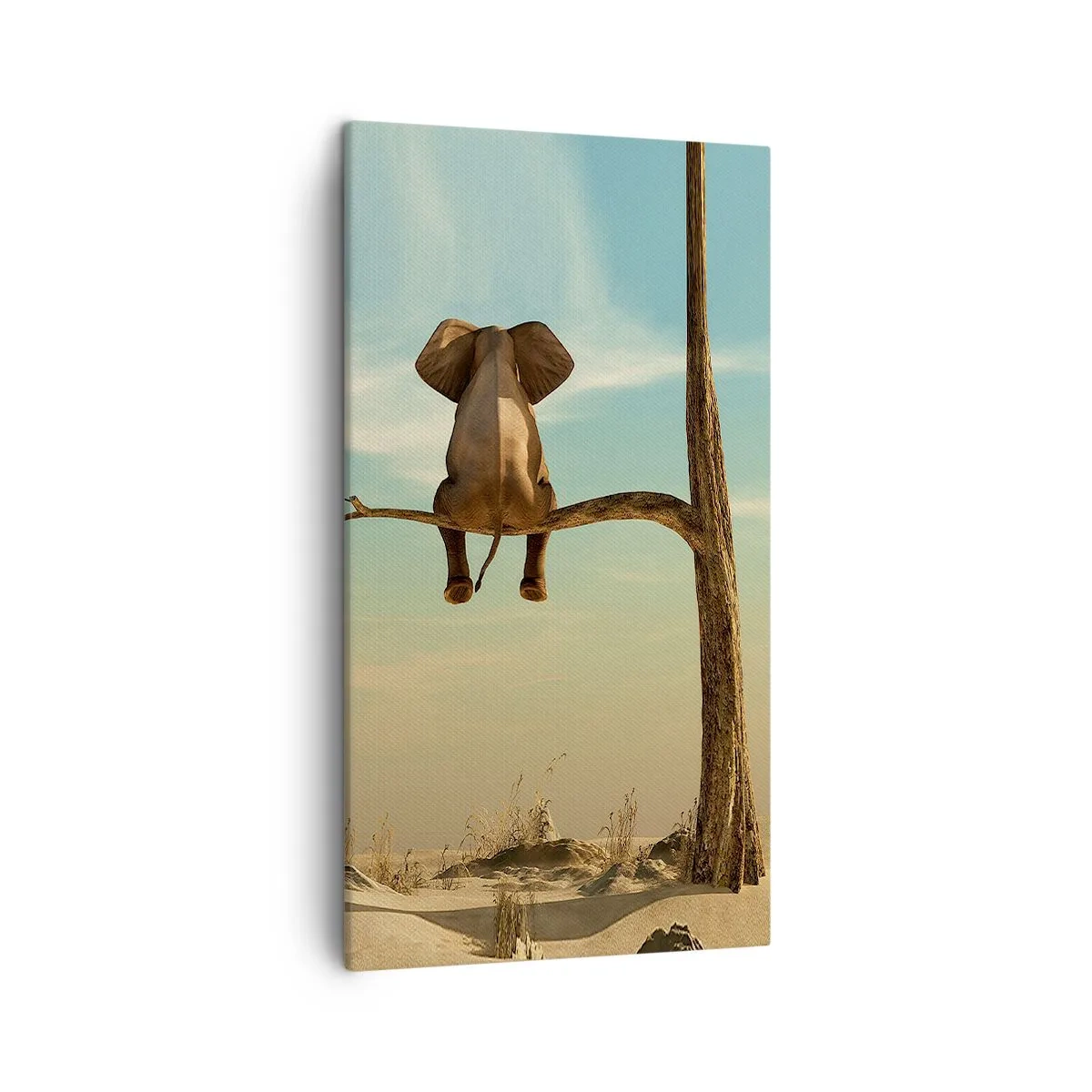 Bild auf Leinwand - Leinwandbild - Neuer Blickwinkel - 45x80 cm