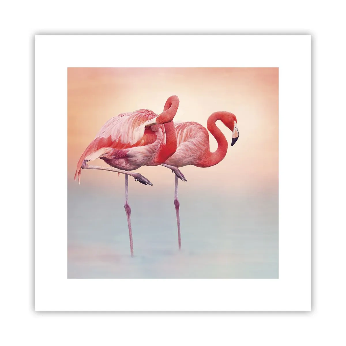 Poster - Die Farbe der untergehenden Sonne - 30x30 cm