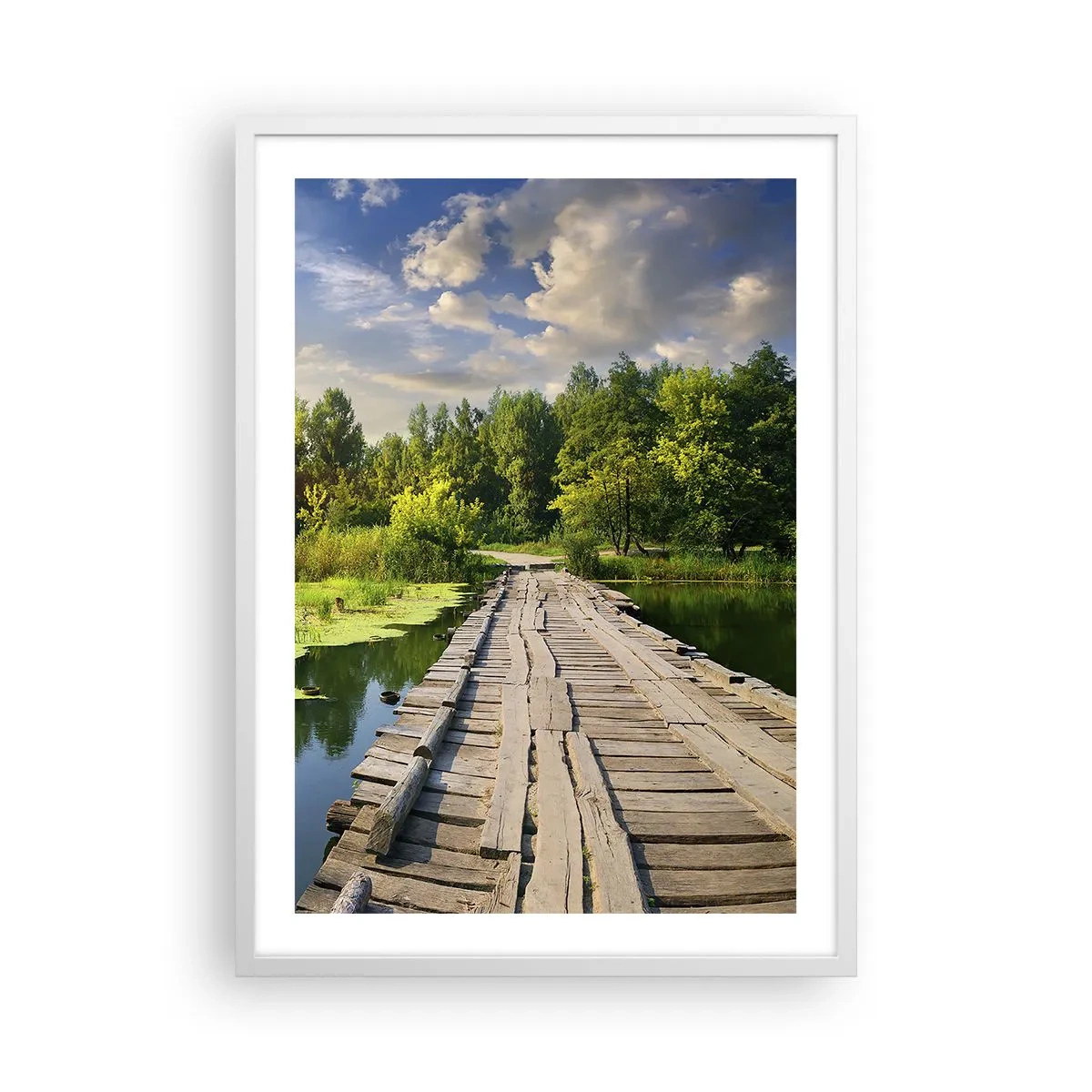 Poster in einem weißen Rahmen - Sommer, Sommer überall - 50x70 cm