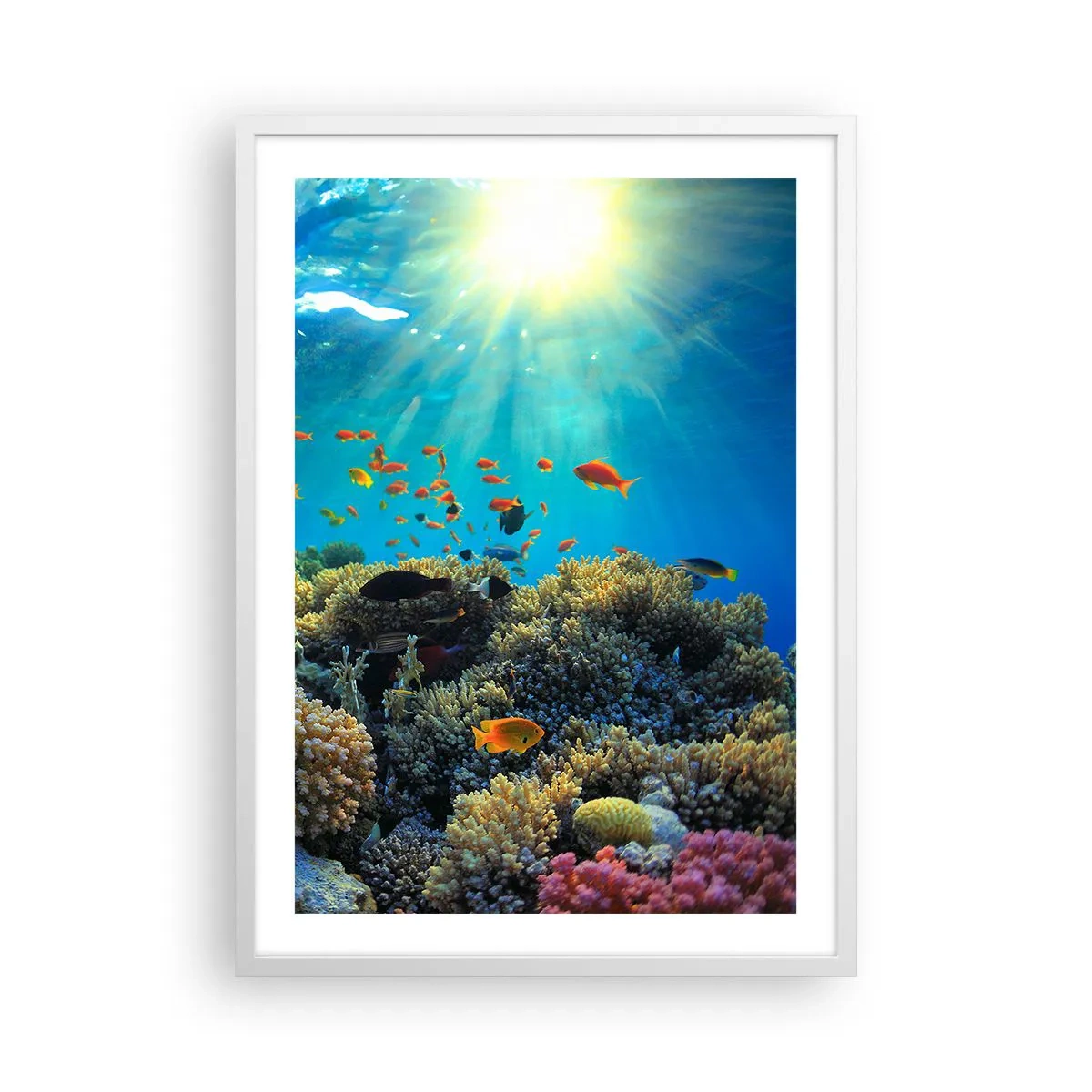 Poster in einem weißen Rahmen - Unterwasserschätze - 50x70 cm