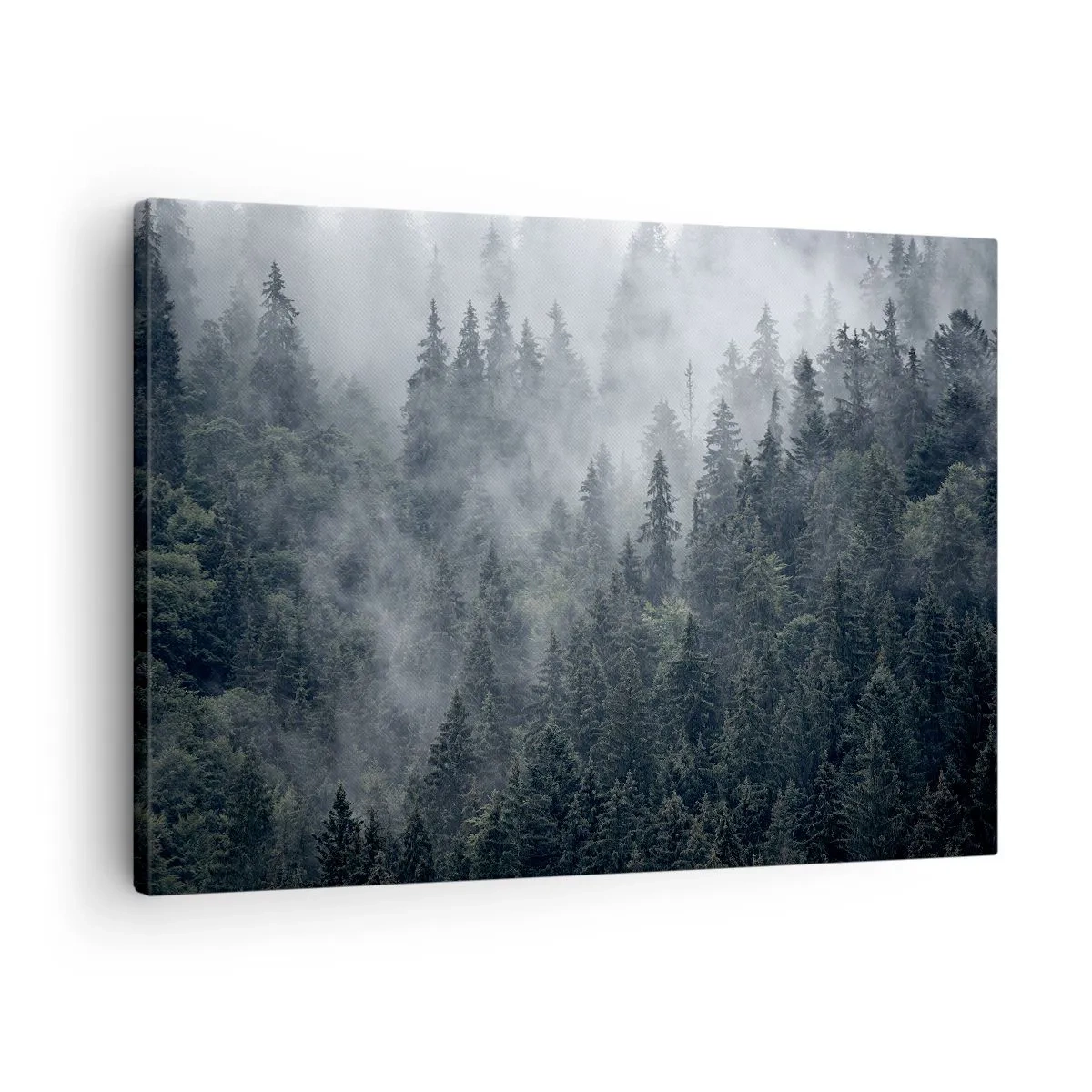 Bild auf Leinwand - Leinwandbild - Nebliger Nadelwald in Grau- und Grüntönen - 70x50cm - Walddämmerung - Moderne Wanddekoration für Wohnzimmer und Schlafzimmer ARTTOR