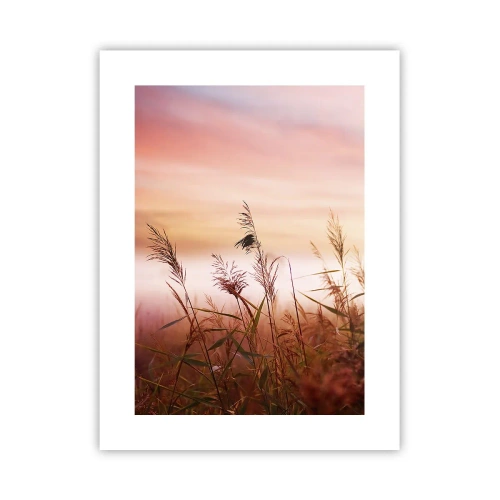 Poster - Drachen, Löwenzahn, Wind - 30x40 cm