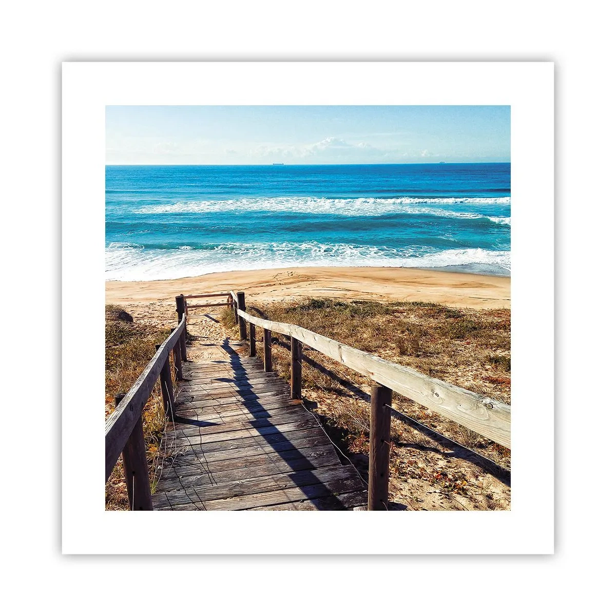 Poster - Lauf! - 40x40 cm