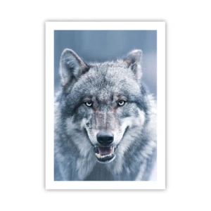 Poster - Porträt eines Wolfes vor einer Winterlandschaft - 50x70cm - Werden Sie die Herausforderung annehmen? - Moderne Wanddekoration für Wohnzimmer und Schlafzimmer ARTTOR