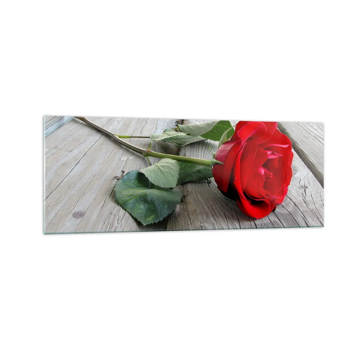 Glasbild - Bild auf glas - Rote Rose auf einem hölzernen Hintergrund - 140x50cm - Eine Studie in Scharlachrot - Moderne Wanddekoration für Wohnzimmer und Schlafzimmer ARTTOR