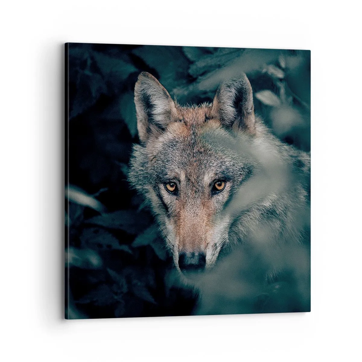 Bild auf Leinwand - Leinwandbild - Jäger - 70x70 cm