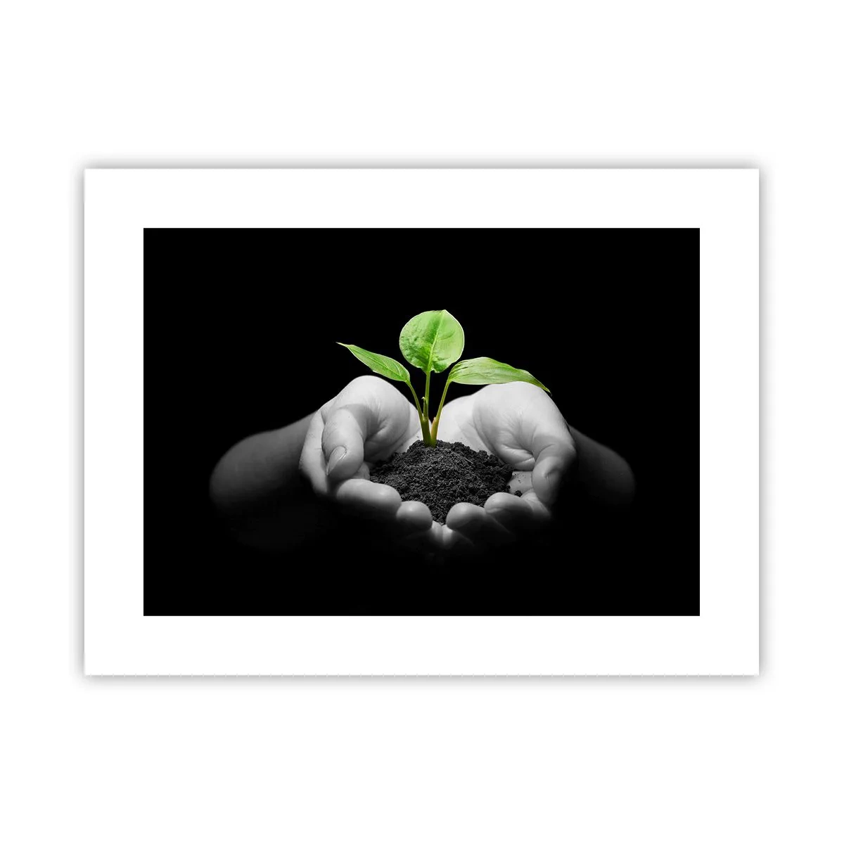 Poster - Ich liebe die Natur, ich beschütze sie - 40x30 cm