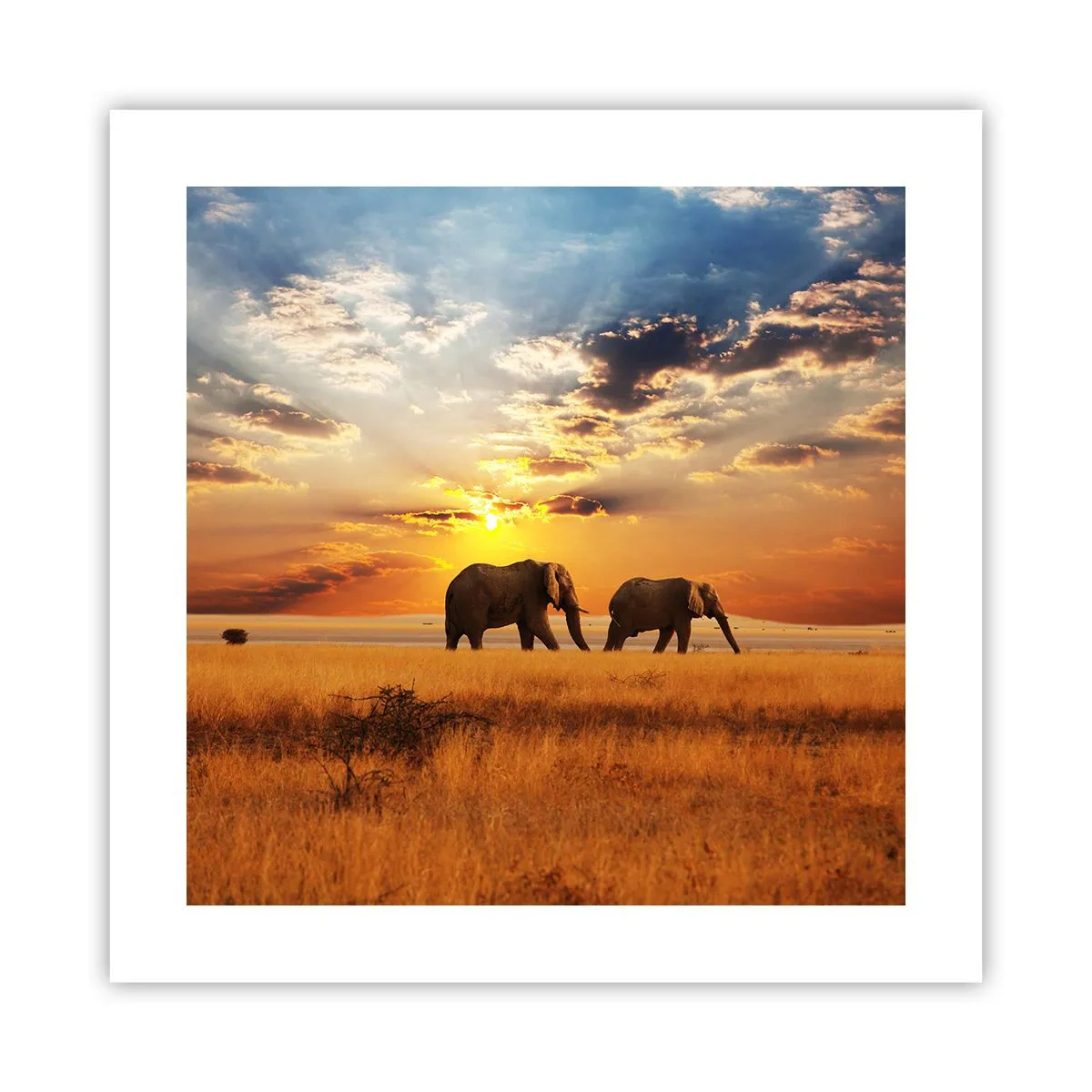 Poster - Familienspaziergang - 40x40 cm