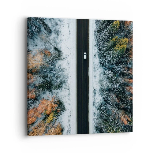 Bild auf Leinwand - Leinwandbild - Schnitt durch den Winterwald - 40x40 cm