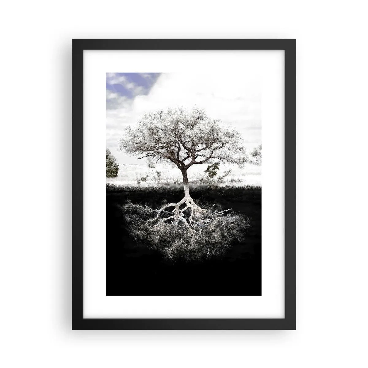 Poster in einem schwarzem Rahmen - Die Natur der Welt entdecken - 30x40 cm