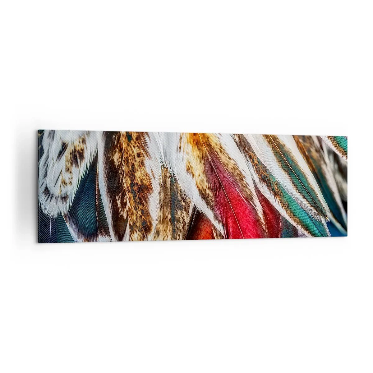 Bild auf Leinwand - Leinwandbild - Nahaufnahme von mehrfarbigen Federn in leuchtenden, intensiven Farben - 160x50cm - Geheimnisse des Fliegens - Moderne Wanddekoration für Wohnzimmer und Schlafzimmer ARTTOR