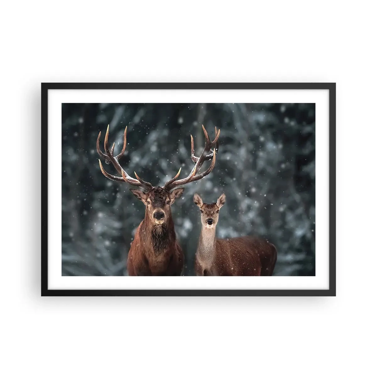 Poster in einem schwarzem Rahmen - Hirsche im verschneiten Winterwald - 70x50cm - Herr des Waldes mit seiner Frau - Moderne Wanddekoration für Wohnzimmer und Schlafzimmer ARTTOR