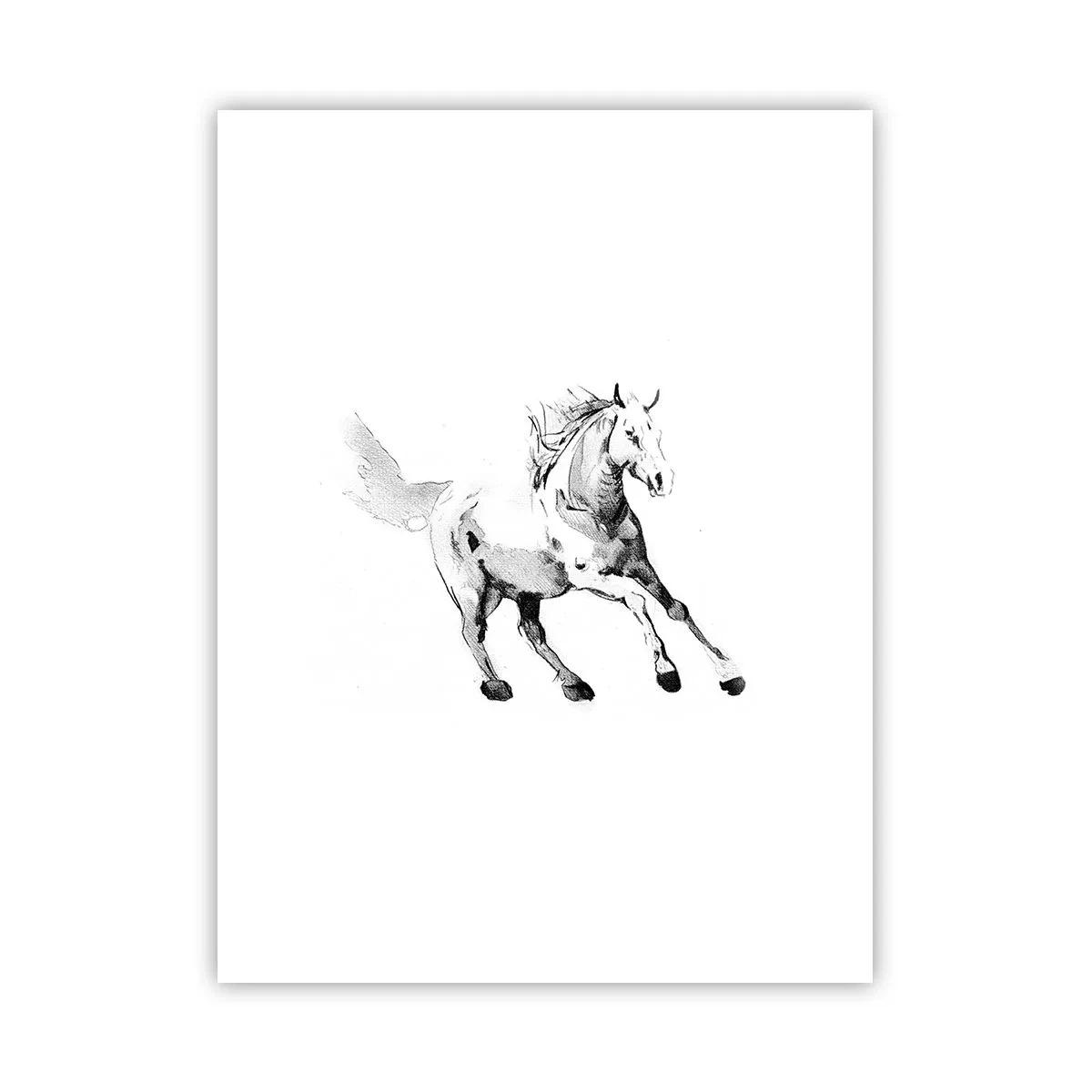 Poster - Ungezähmte Seele - 30x40 cm