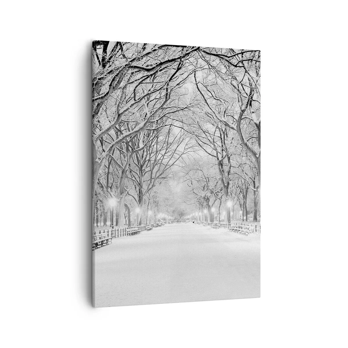 Bild auf Leinwand - Leinwandbild - Eine Winterallee mit schneebedeckten Bäumen in Monochrom - 50x70cm - Vier Jahreszeiten - Winter - Moderne Wanddekoration für Wohnzimmer und Schlafzimmer ARTTOR