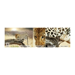 Fototapeten Muster Selbstklebend Deluxe Sticker - Ich gehe meine eigenen Wege - Tiere, Leopard, Afrika - 100x30 cm