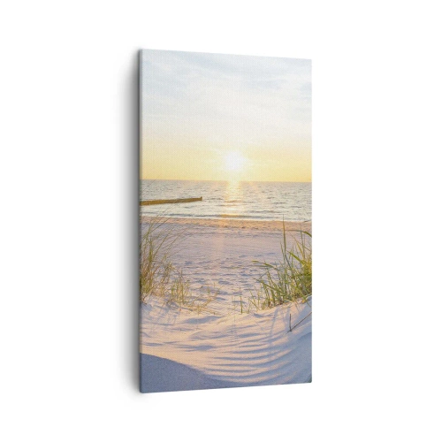 Bild auf Leinwand - Leinwandbild - Das Rauschen des Meeres, der Gesang der Vögel, ein wilder Strand im Gras ... - 45x80 cm