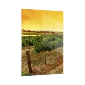 Glasbild - Bild auf glas - Weinreben im warmen Licht der untergehenden Sonne - 50x70cm - Holen Sie sich einen Drink von der Sonne - Moderne Wanddekoration für Wohnzimmer und Schlafzimmer ARTTOR
