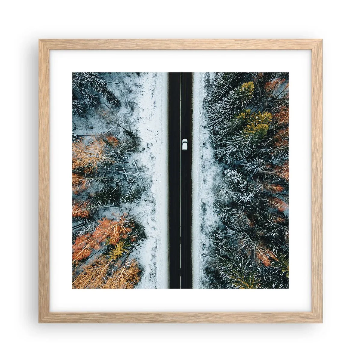 Poster in einem Rahmen aus heller Eiche - Schnitt durch den Winterwald - 40x40 cm