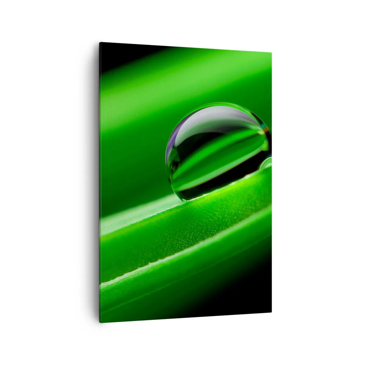 Bild auf Leinwand - Leinwandbild - Nahaufnahme eines Tautropfens auf einem grünen Blatt - 70x100cm - Leben hautnah - Moderne Wanddekoration für Wohnzimmer und Schlafzimmer ARTTOR
