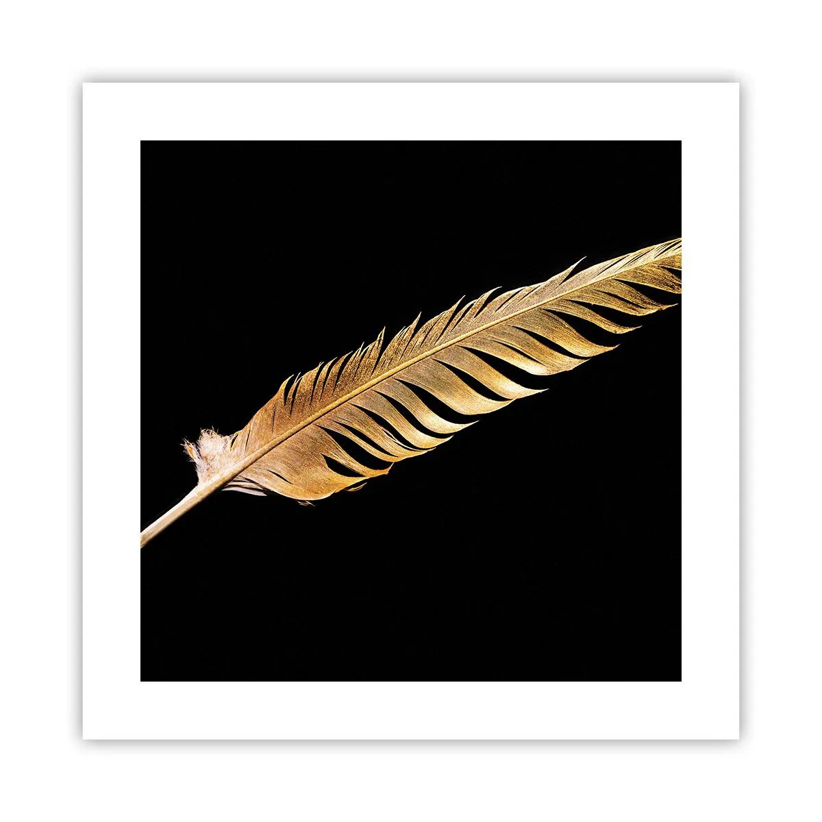 Poster - Er hat ein ungewöhnliches Schreibtalent ... - 40x40 cm