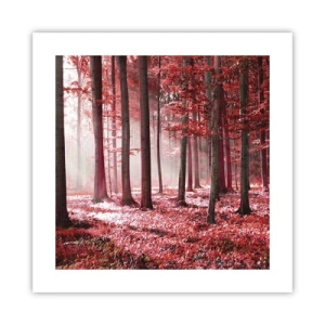 Poster - Rot ist genauso schön - 40x40 cm