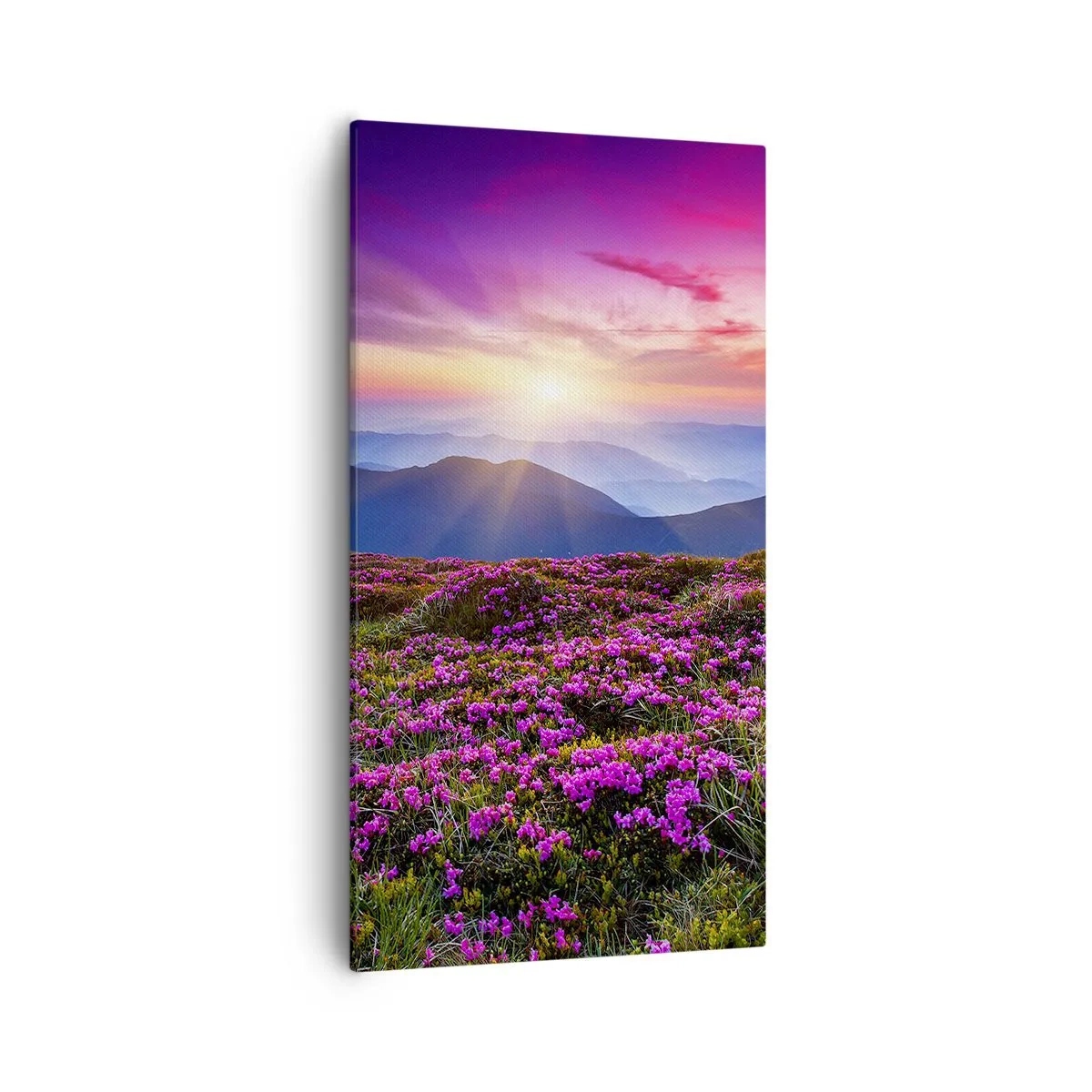 Bild auf Leinwand - Leinwandbild - Kräuter dufteten nach frischen Trauben von den Feldern - 55x100 cm