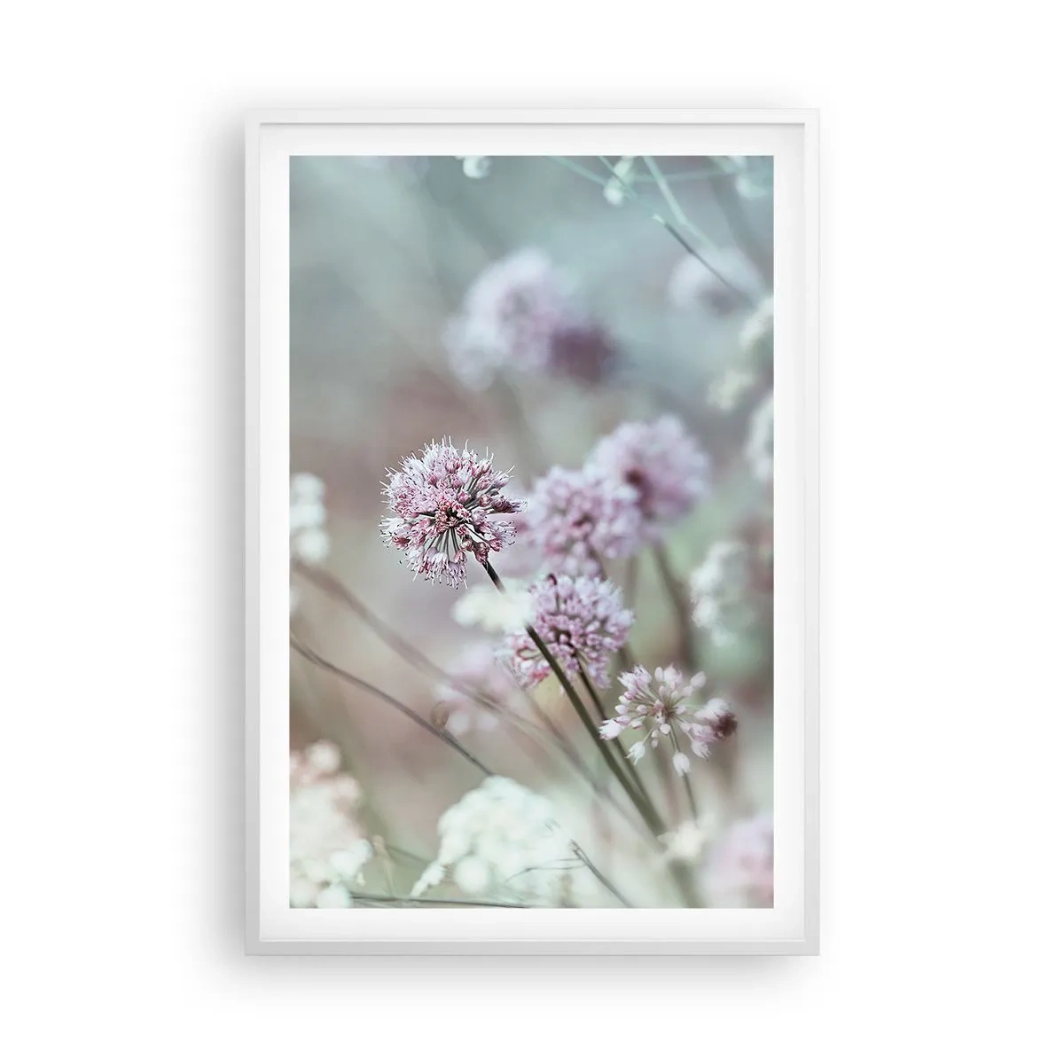 Poster in einem weißen Rahmen - Süße filigrane Kräuter - 61x91 cm
