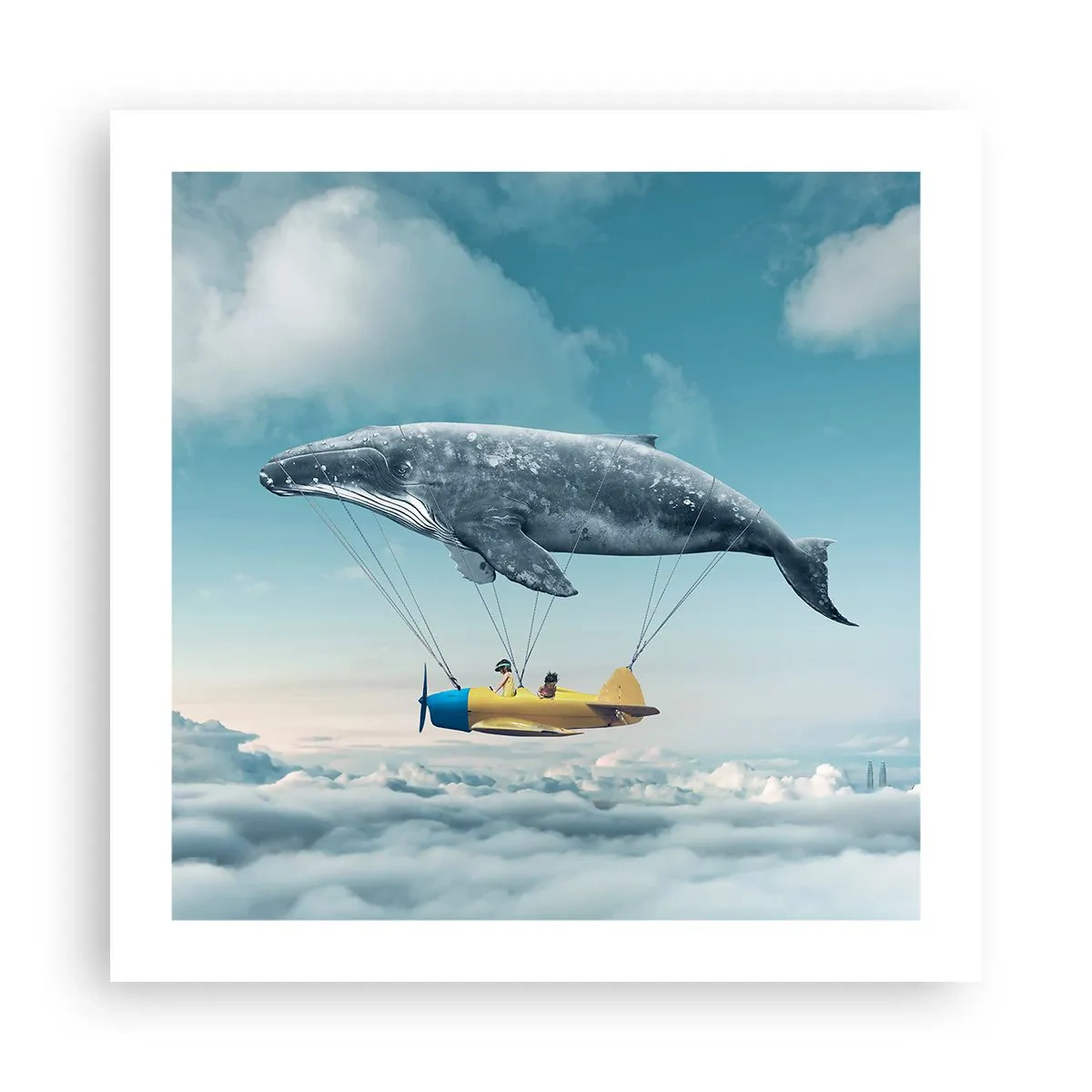 Poster - Warum nicht? - 50x50 cm