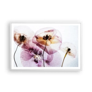 Poster in einem weißen Rahmen - Transparente Körperblumen - 91x61 cm