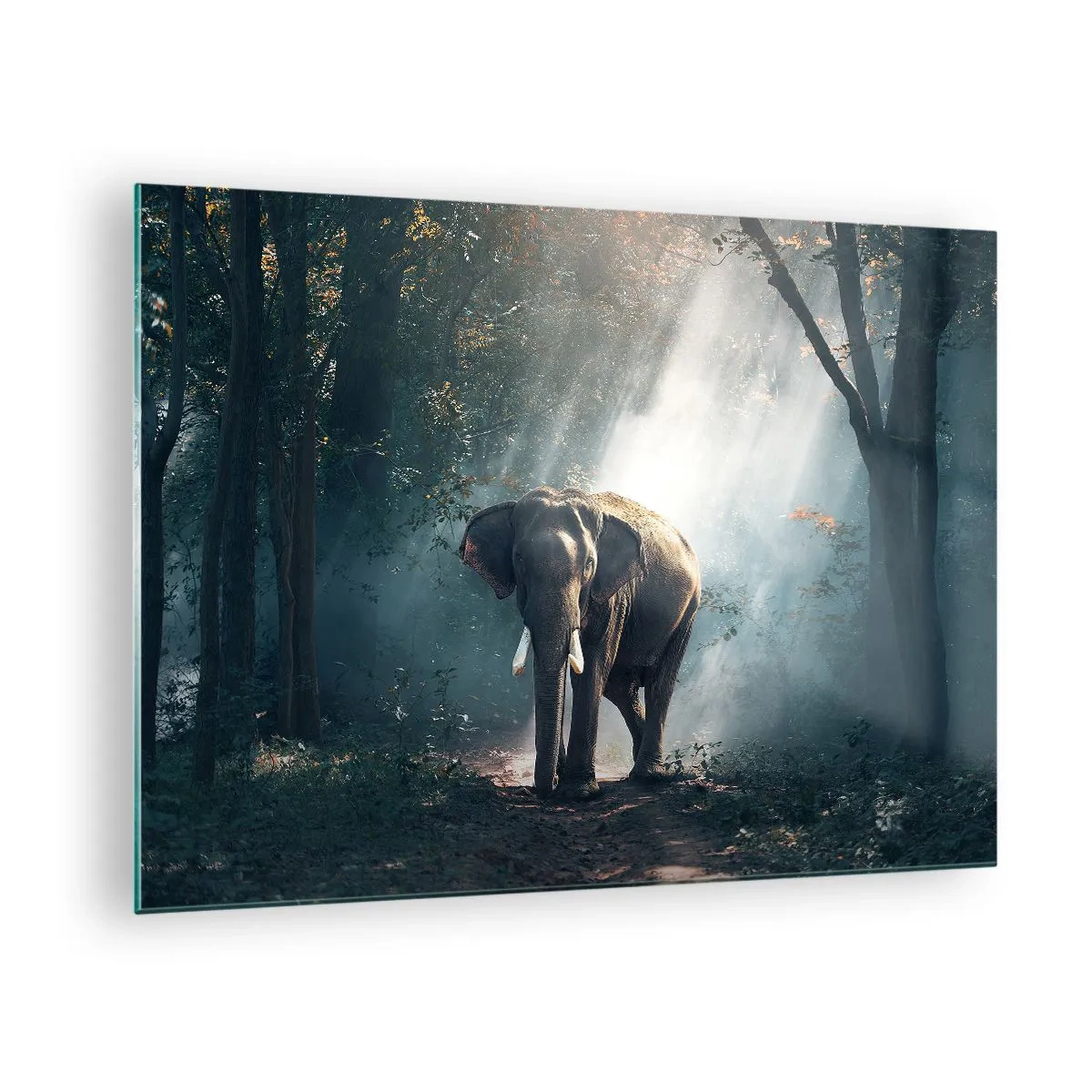 Glasbild - Bild auf glas - Ein Elefant läuft durch den Wald, während das Sonnenlicht durch die Bäume fällt. - 70x50cm - Ein gemütlicher Spaziergang - Moderne Wanddekoration für Wohnzimmer und Schlafzimmer ARTTOR