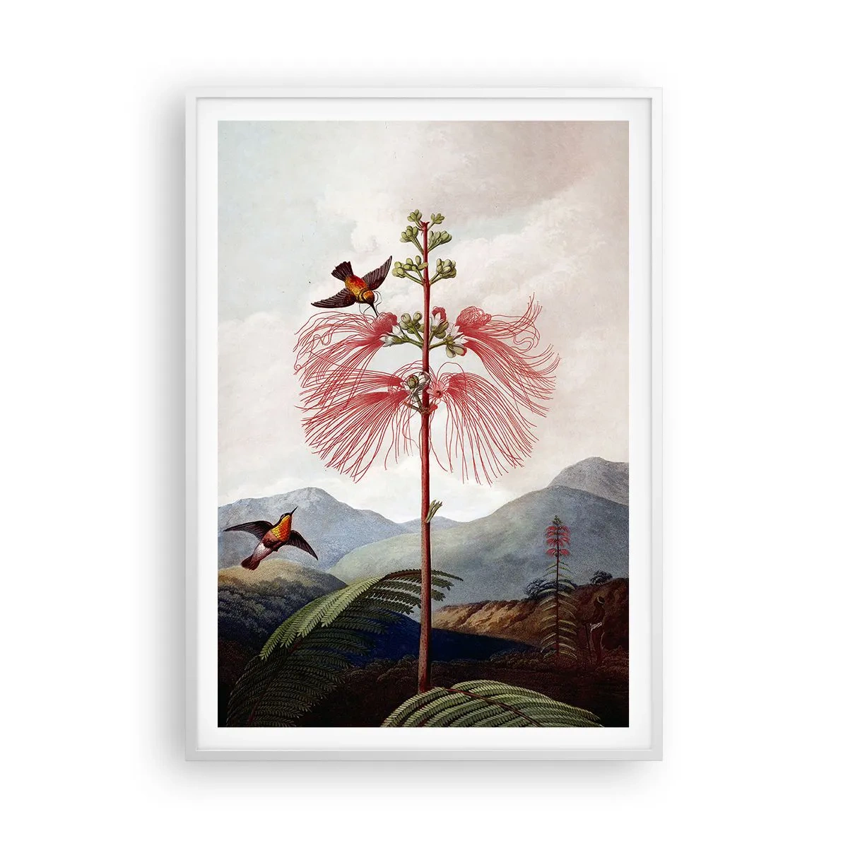 Poster in einem weißen Rahmen - In einem tropischen Paradies - 70x100 cm