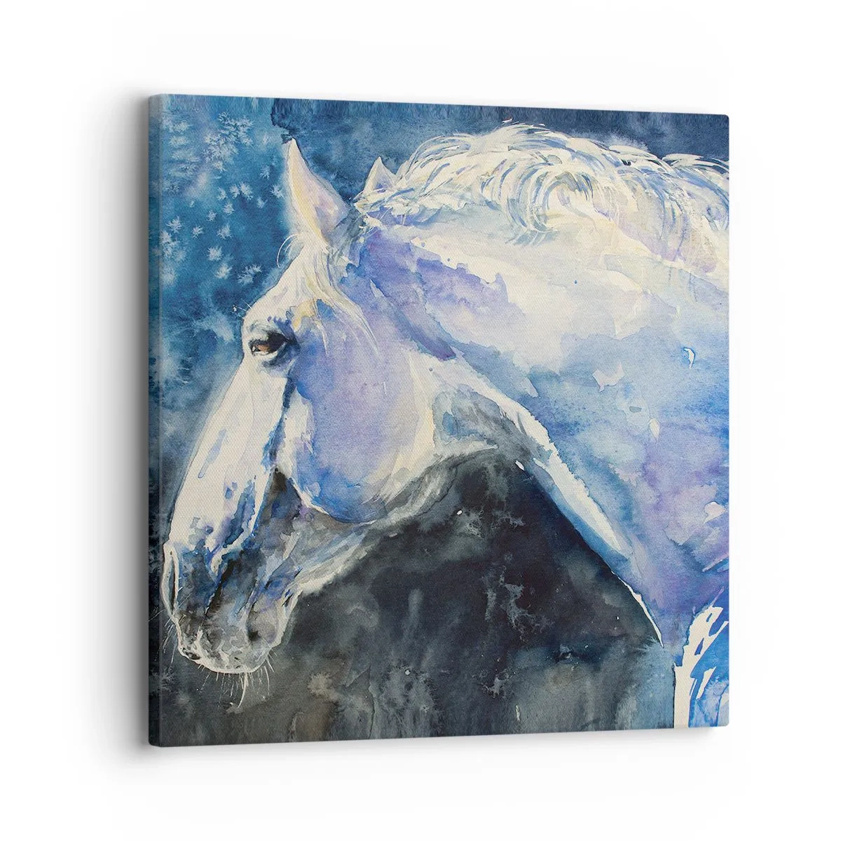Bild auf Leinwand - Leinwandbild - Porträt in blauem Glanz - 30x30 cm