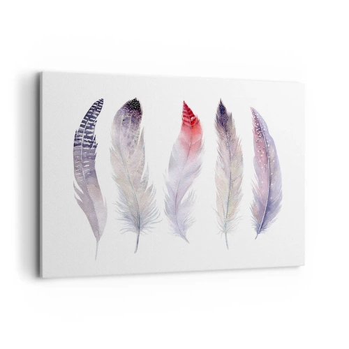 Bild auf Leinwand - Leinwandbild - Fünf zarte Federn in Pastelltönen auf hellem Untergrund - 120x80cm - Zart wie mehrfarbiger Nebel - Moderne Wanddekoration für Wohnzimmer und Schlafzimmer ARTTOR
