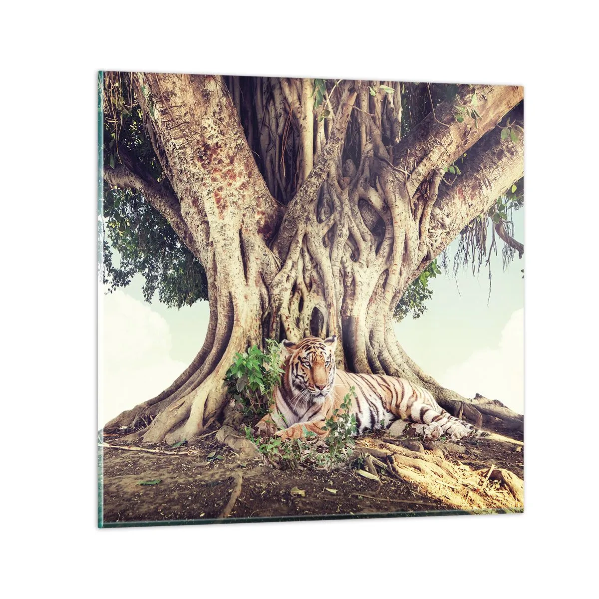 Glasbild - Bild auf glas - Blick aus dem Buch Genesis - 40x40 cm