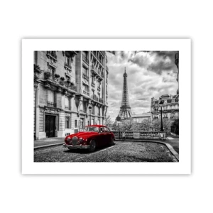 Poster - Raubtier in der Stadt - 50x40 cm