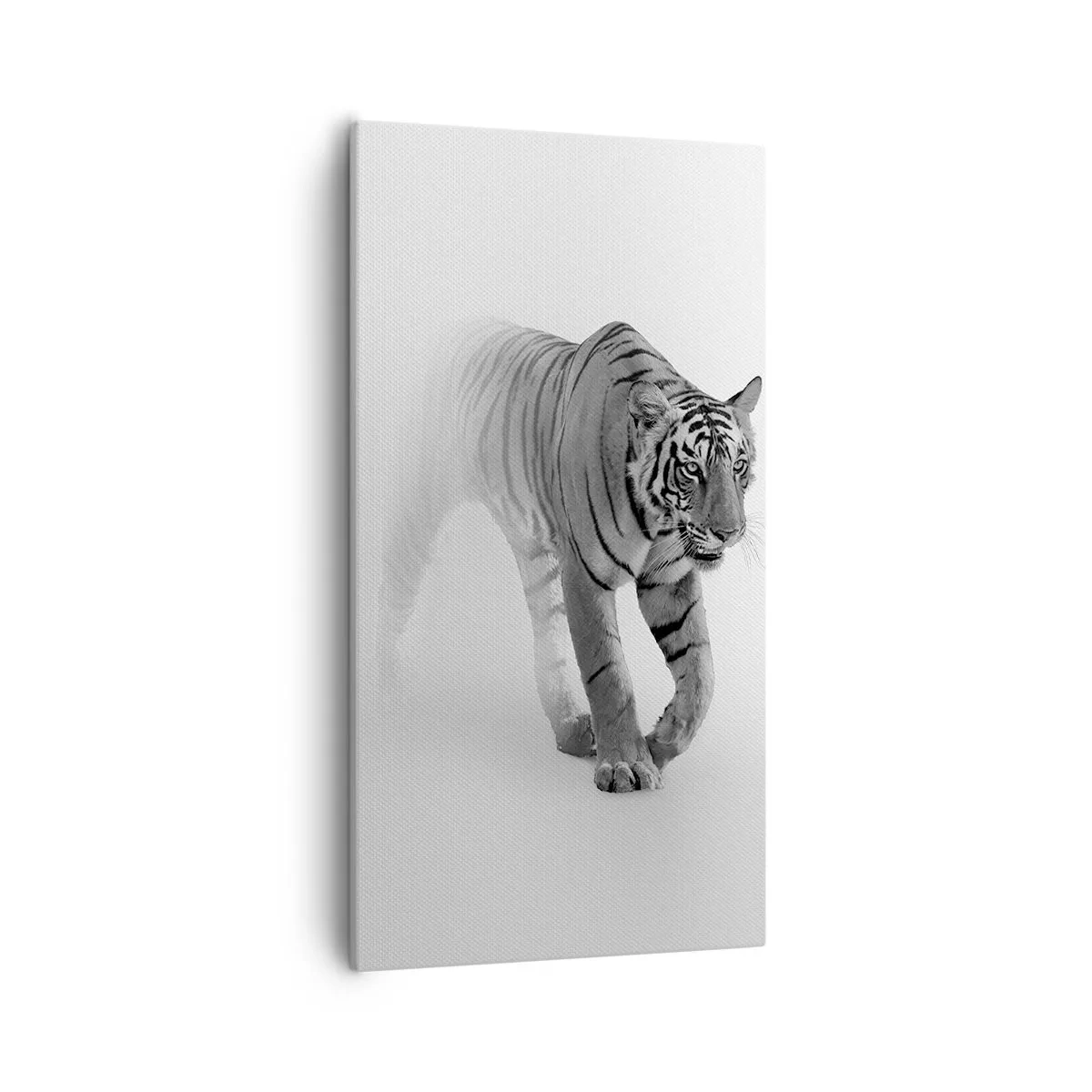 Bild auf Leinwand - Leinwandbild - Im Nebel gelauert - 55x100 cm