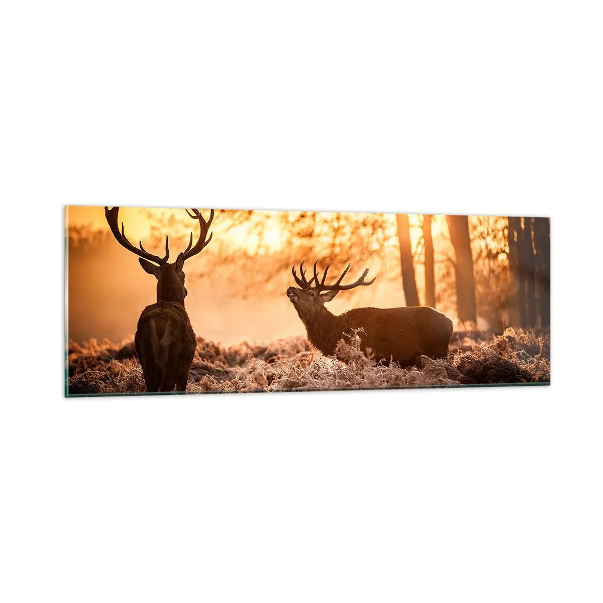 Glasbild - Bild auf glas - Der Traum eines Jägers - 90x30 cm