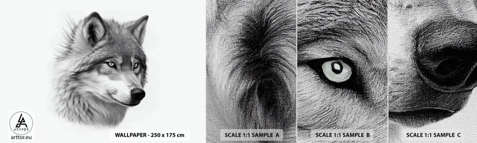 Fototapeten Muster Premium Canvas - Alpha – ohne Zweifel - Wolf, Tier, skandinavisch - 100x30 cm