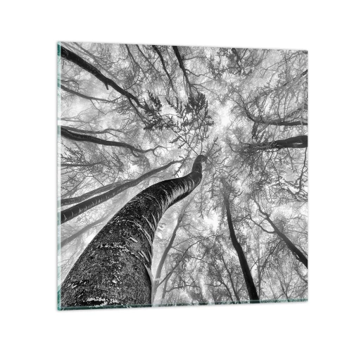 Glasbild - Bild auf glas - Rennen zum Licht - 30x30 cm