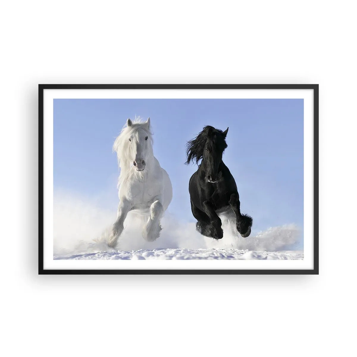 Poster in einem schwarzem Rahmen - Schwarz-Weiß-Galopp - 91x61 cm