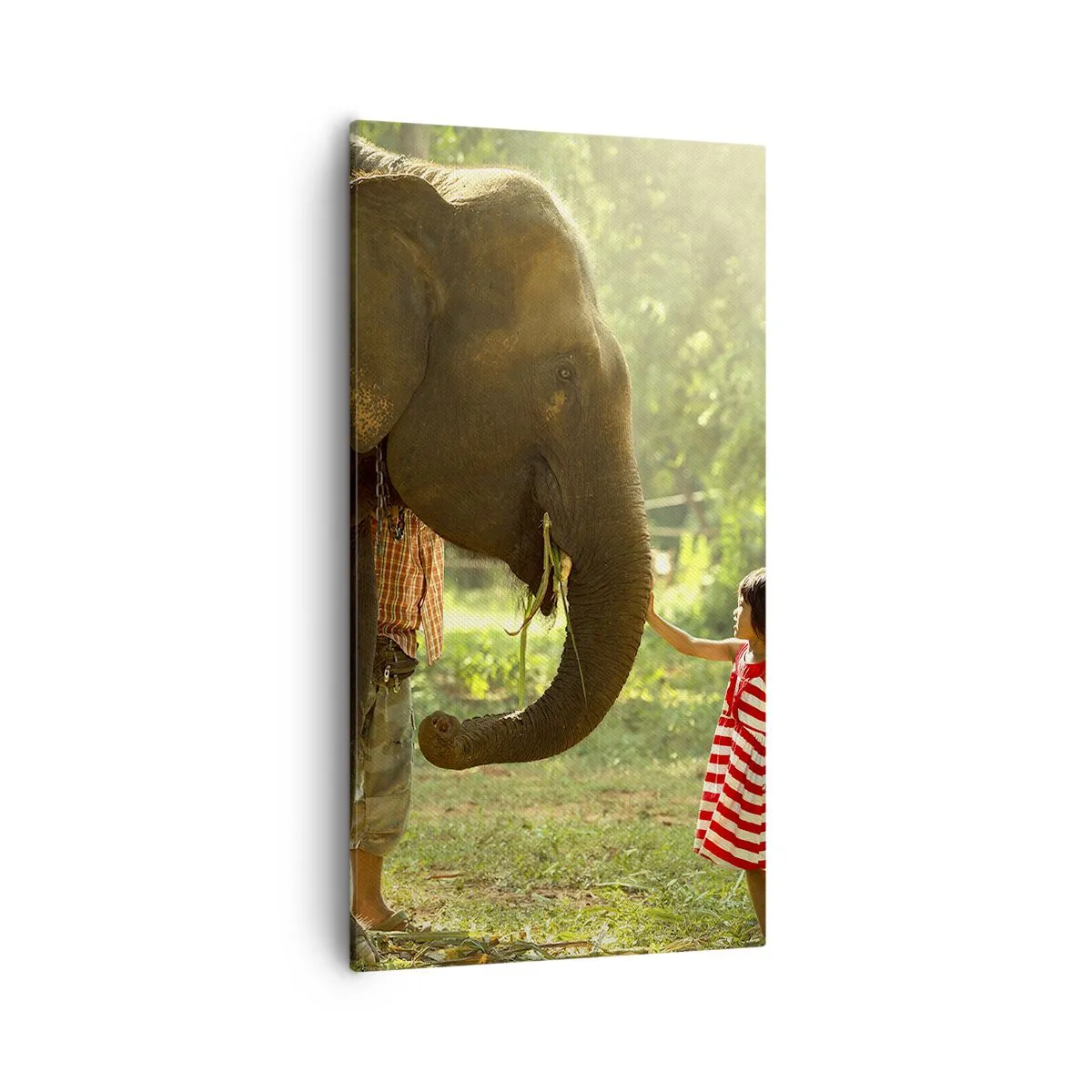 Bild auf Leinwand - Leinwandbild - Die Stärke der Freundschaft - 55x100 cm