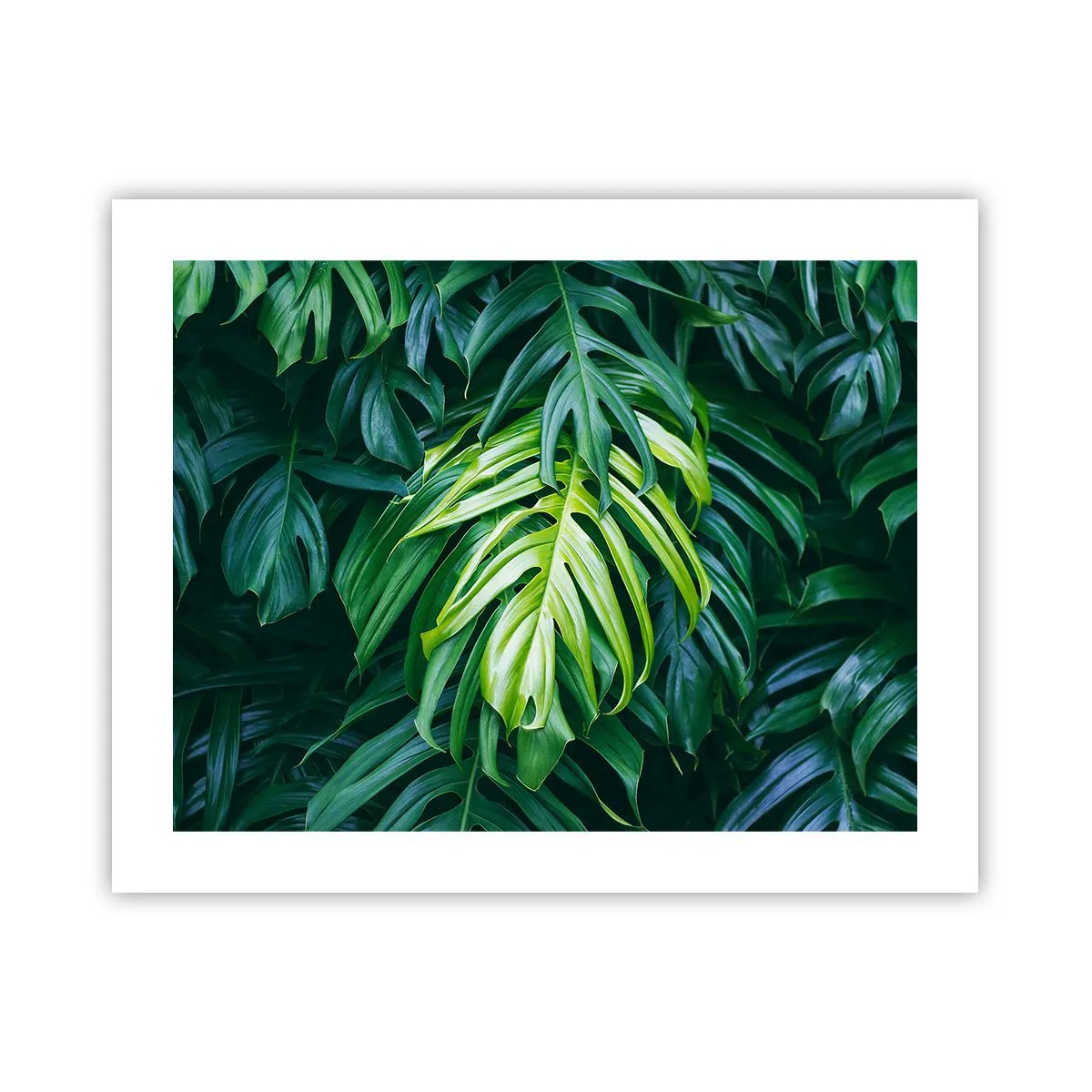 Poster - Tauchen Sie ein in die Frische - 50x40 cm