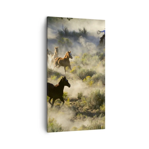 Bild auf Leinwand - Leinwandbild - Rivalität – Freiheit oder männliche Stärke? - 45x80 cm