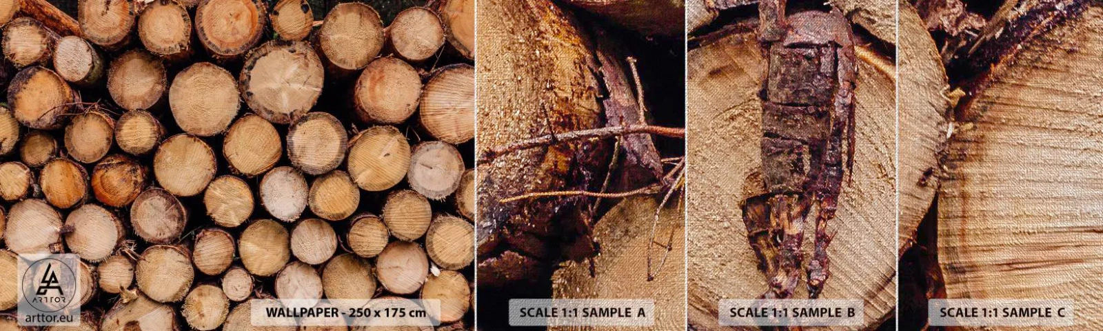 Fototapeten Muster Premium Canvas - Ein neuer Anfang - Holz, Holzstämme, Natur - 100x30 cm