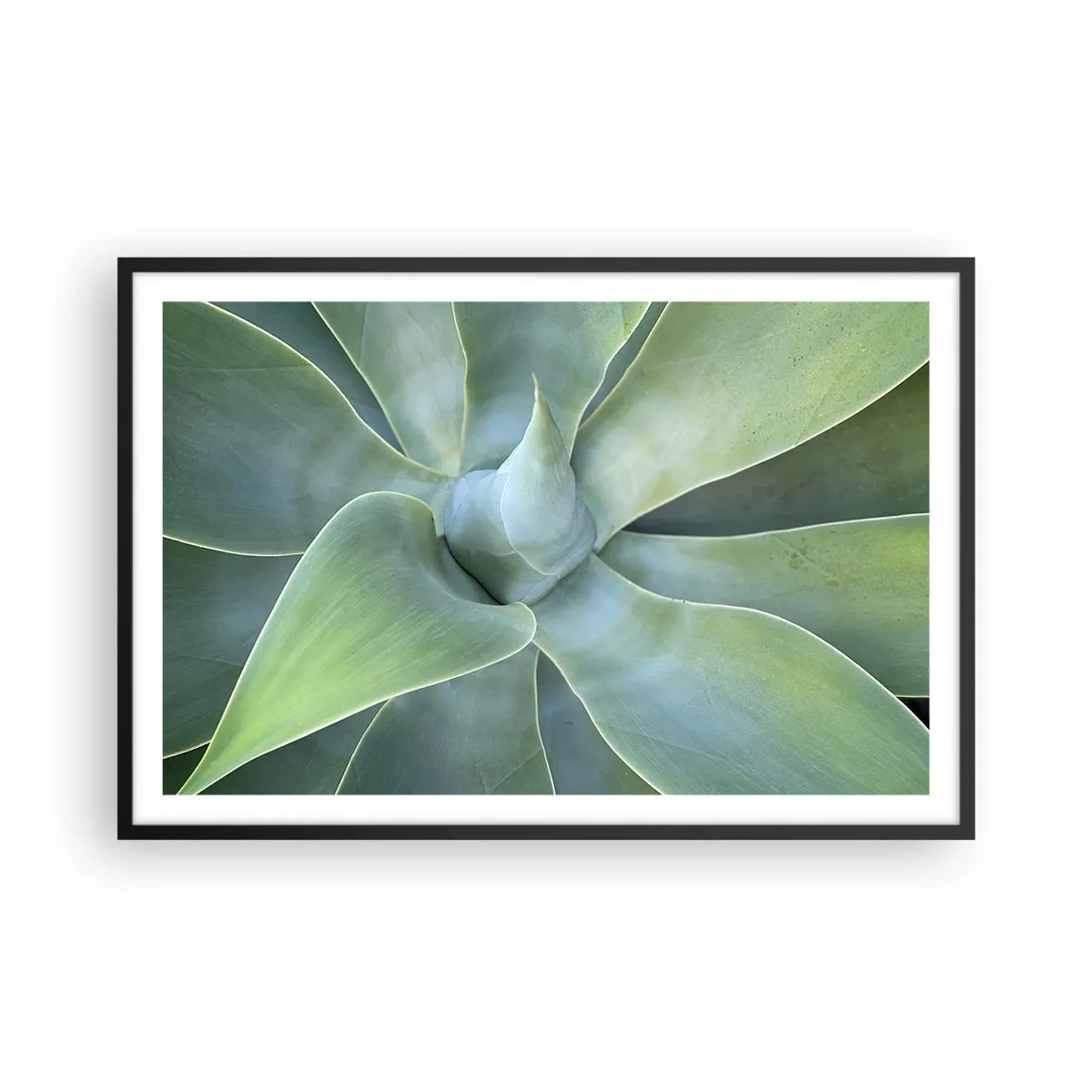 Poster in einem schwarzem Rahmen - Geburt des Grüns - 91x61 cm