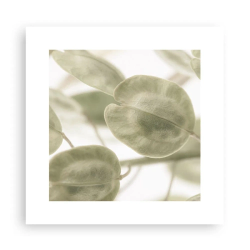 Poster - Am Anfang waren Blätter... - 30x30 cm