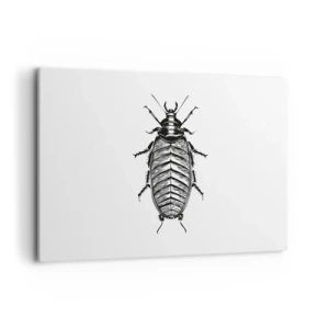 Bild auf Leinwand - Leinwandbild - Grafik eines schwarz-weißen Insekts auf weißem Hintergrund - 120x80cm - Was für ein Exemplar! - Moderne Wanddekoration für Wohnzimmer und Schlafzimmer ARTTOR