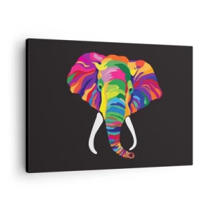 Bild auf Leinwand - Leinwandbild - Ein buntes Bild eines Elefanten auf schwarzem Hintergrund - 70x50cm - Der Elefant, der es liebte, im Regenbogen zu baden - Moderne Wanddekoration für Wohnzimmer und Schlafzimmer ARTTOR
